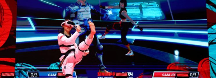 VR taekwondo