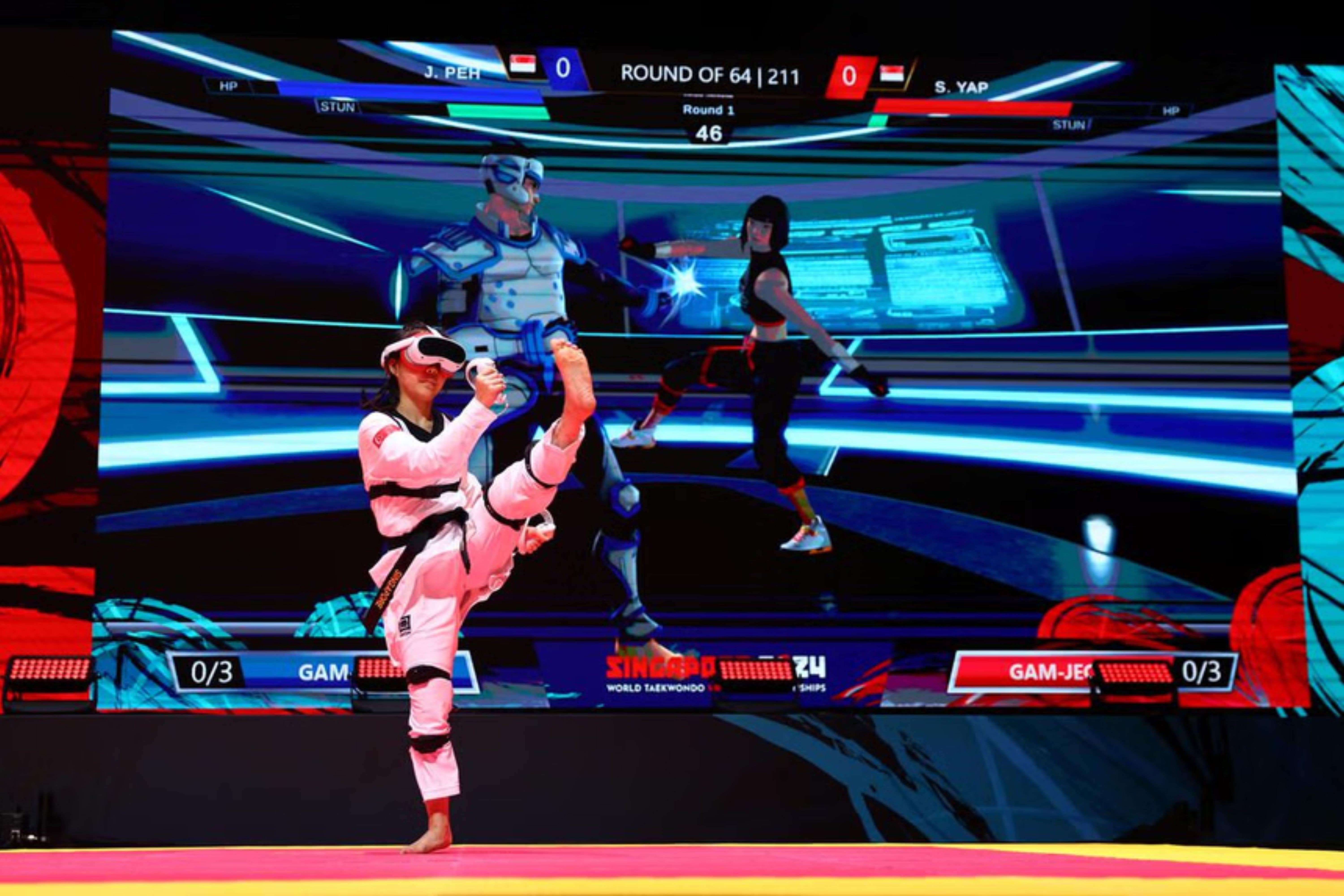 VR taekwondo